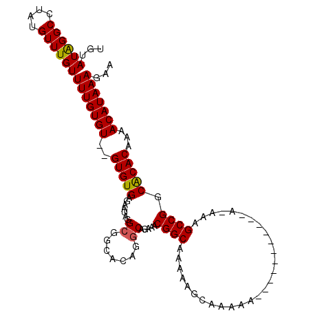 secondary structure