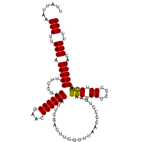 secondary structure