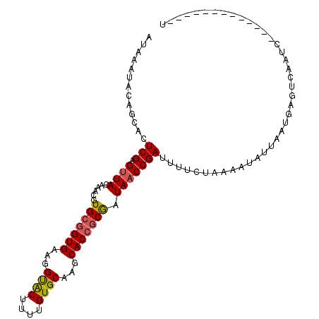 secondary structure