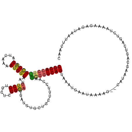 secondary structure