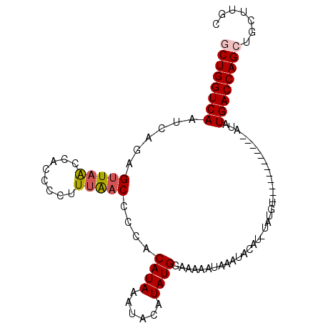 secondary structure