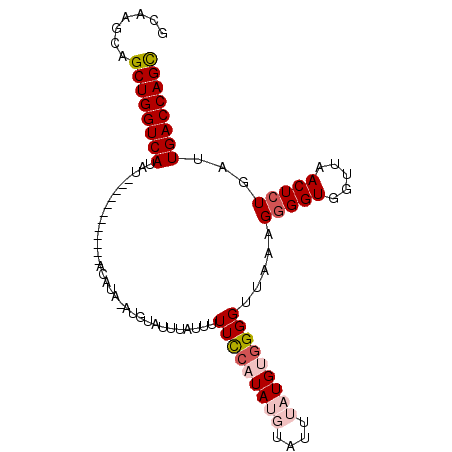secondary structure