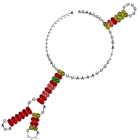 secondary structure