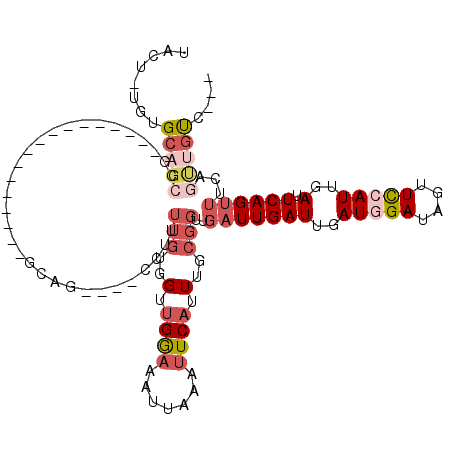 secondary structure