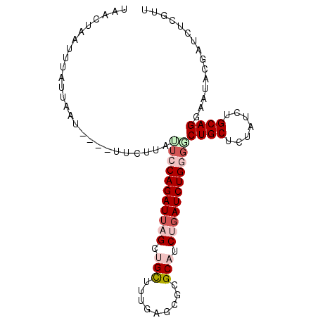 secondary structure