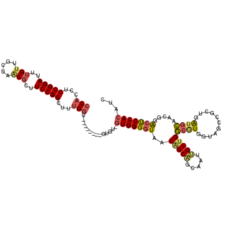 secondary structure