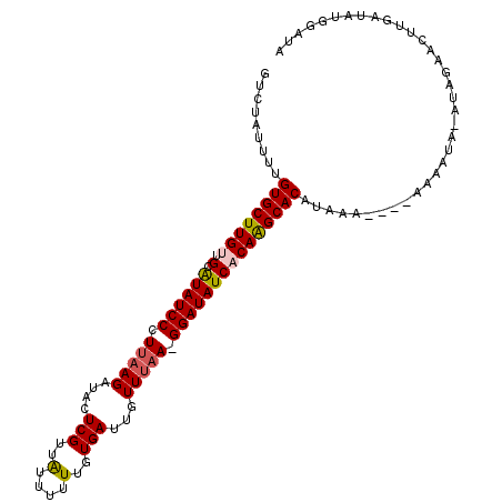 secondary structure