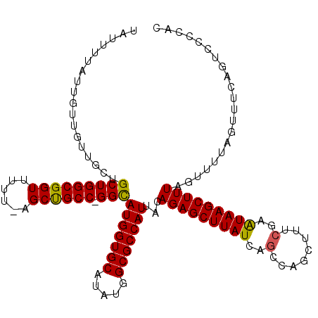secondary structure