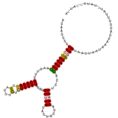 secondary structure