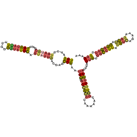 secondary structure