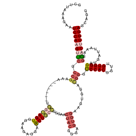 secondary structure