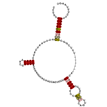 secondary structure