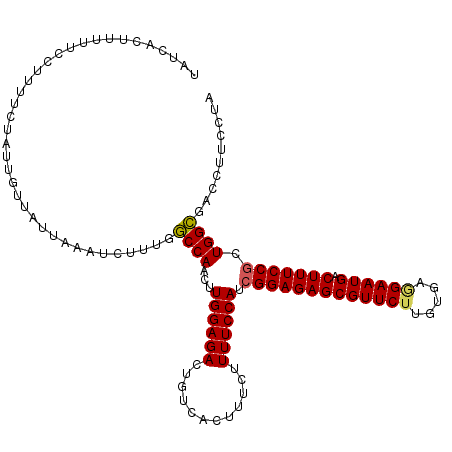 secondary structure