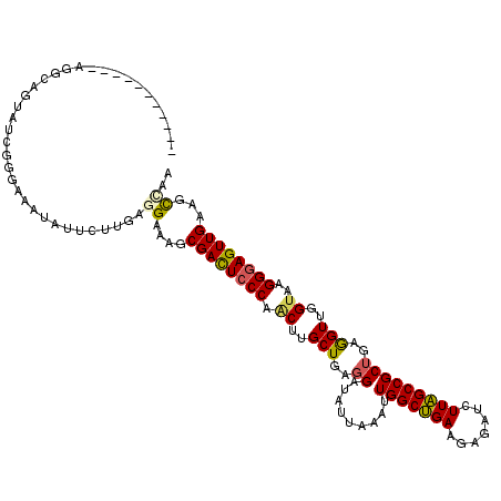 secondary structure