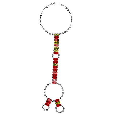 secondary structure