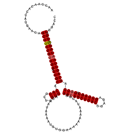 secondary structure