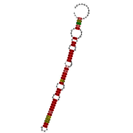 secondary structure