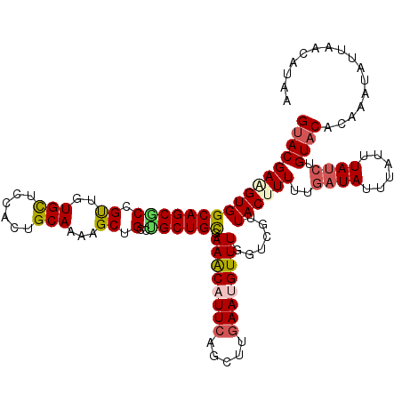 secondary structure