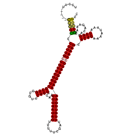 secondary structure