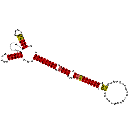 secondary structure