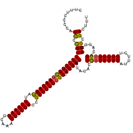 secondary structure