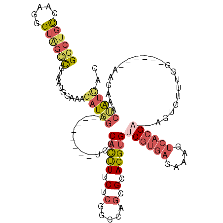 secondary structure