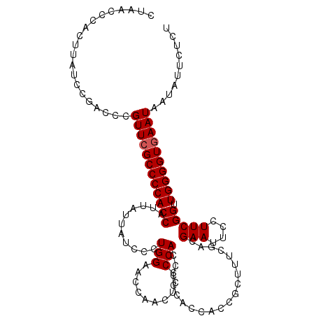 secondary structure
