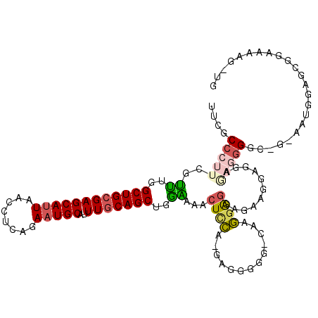 secondary structure