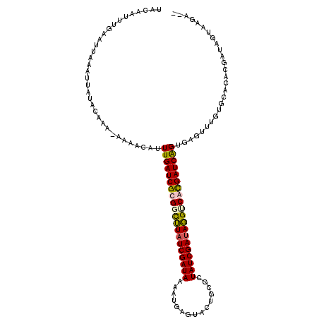 secondary structure