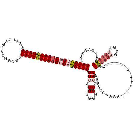 secondary structure