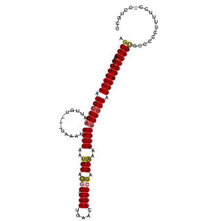 secondary structure
