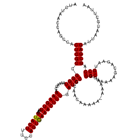 secondary structure