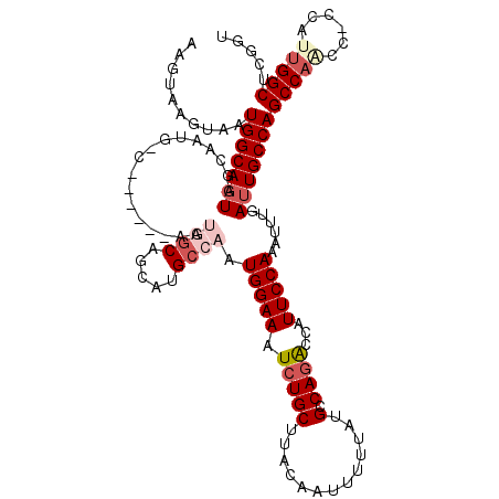 secondary structure