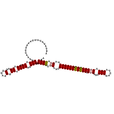 secondary structure