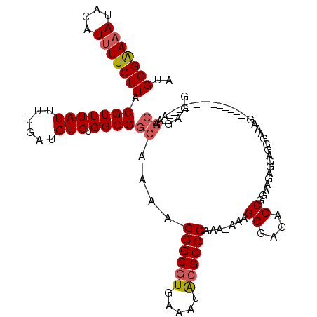 secondary structure