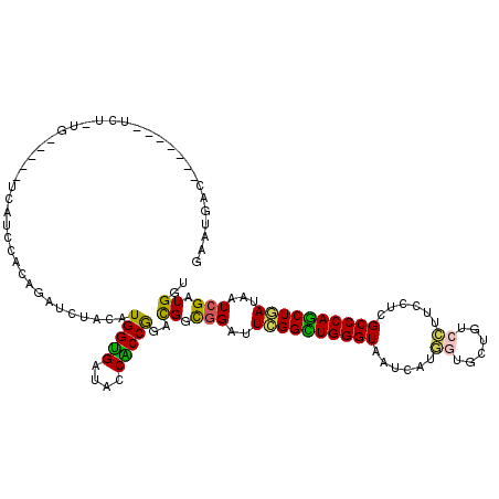 secondary structure