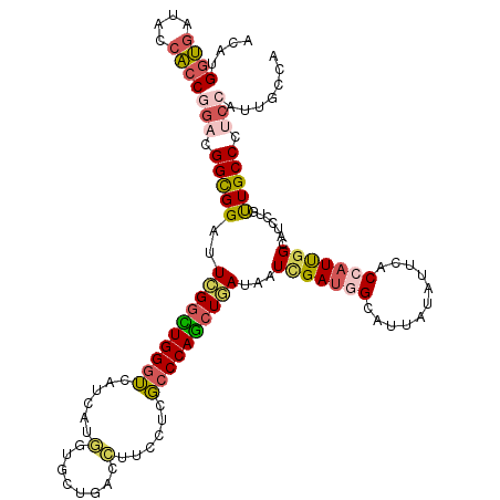 secondary structure