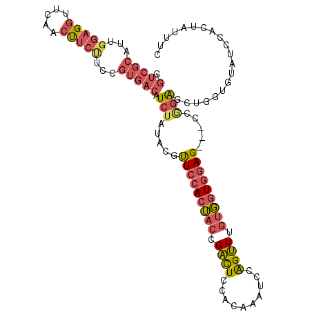 secondary structure