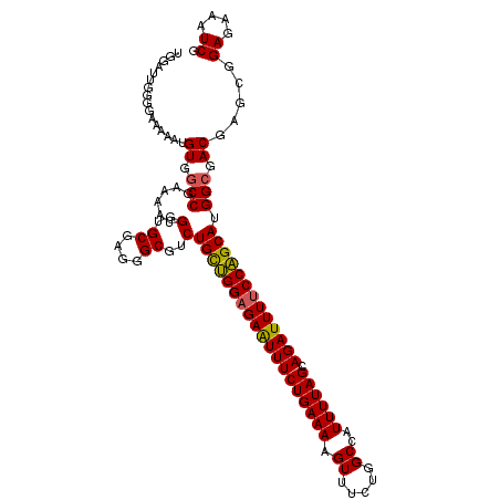 secondary structure