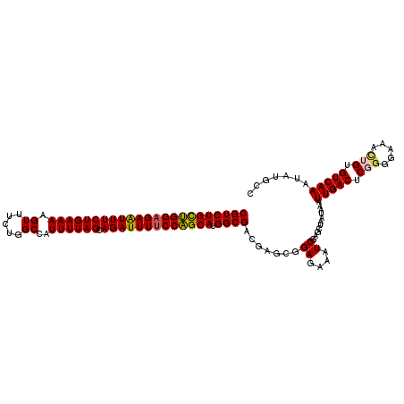 secondary structure