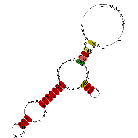 secondary structure