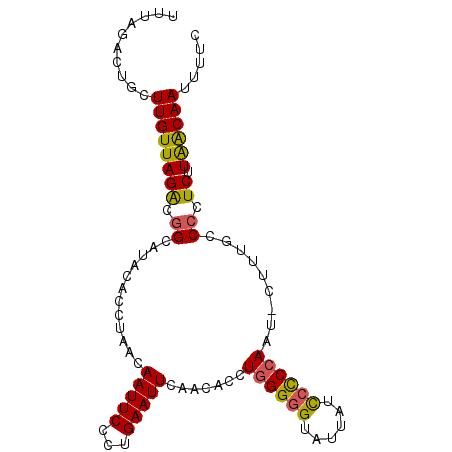 secondary structure