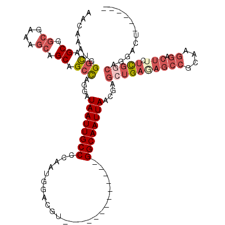 secondary structure