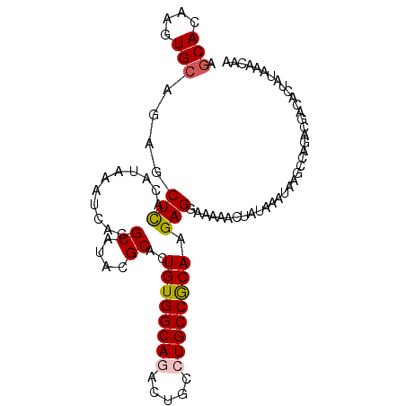 secondary structure