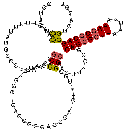 secondary structure