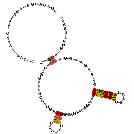 secondary structure