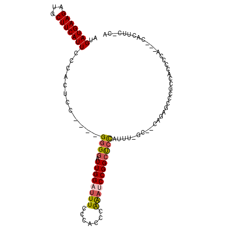 secondary structure