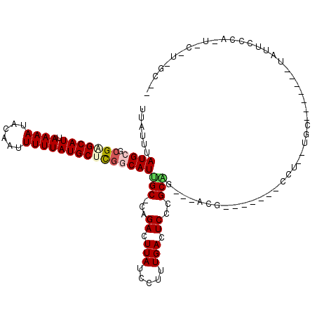 secondary structure