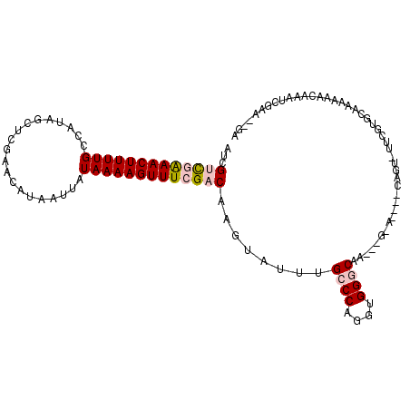 secondary structure