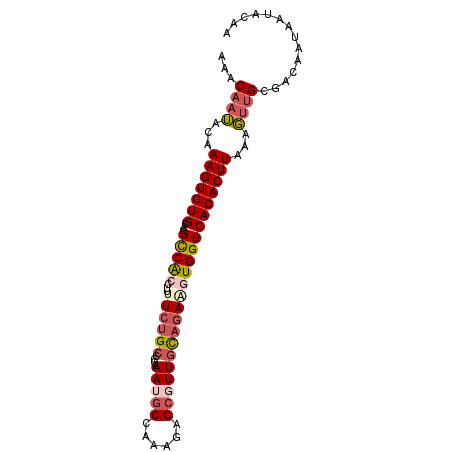 secondary structure